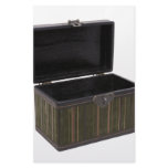 OpenVelvetTrunk112109 stationery