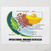 Operational Innards Revealed (Cell Biology) Personalized Flyer