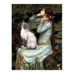 Ophelia - Blue Point Siamese cat Postcard
