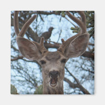 Opinionated Deer Magnet
