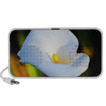 Opnened Callalily Speaker