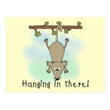 Opossum Hanging in There Post Cards