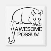 Opossum impressionnant aimants pour réfrigérateur