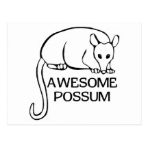 Opossum impressionnant cartes postales
