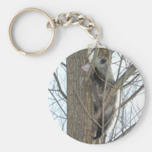 opossum in tree keychains