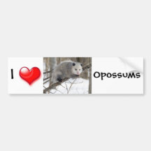 Opossum Love Bumper Stickers