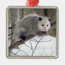 Opossum Love Christmas Ornament