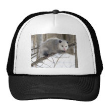 Opossum Love Mesh Hats
