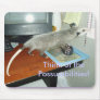 Opossum Mousepad