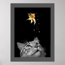 Opportunities Poster
