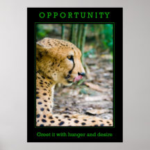 Opportunity Poster