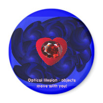 Optical Illusion-Magnet