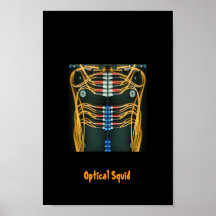 Optical Squid Poster