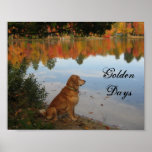 Or d'automne affiche