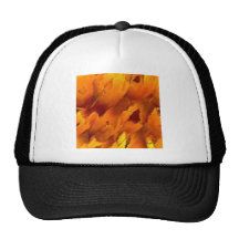 orang110 hat