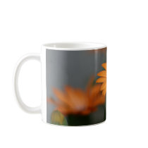 "Orange African Daisy" Coffee Mugs
