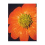 Orange After the rain flowers Postcards
