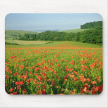 Orange Agricultural poppy field, Falmer Mouse Pad