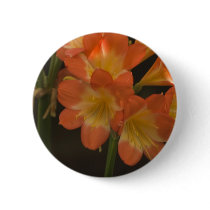 Orange Amaryllis Pins