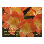 Orange Amaryllis Post Card