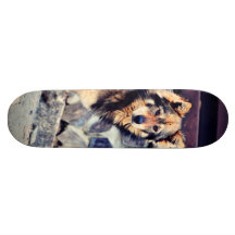 Orange and black dog skateboard