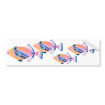 Orange and Blue Tropical Fish