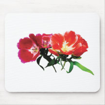 Orange and Magenta Evening Primroses Mouse Pad