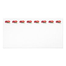 Orange and Magenta Evening Primroses Photo Greeting Card