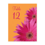 Orange and Pink Gerbera Daisy Table Number Card