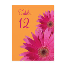 Orange and Pink Gerbera Daisy Table Number Card