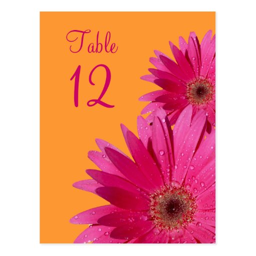 Orange and Pink Gerbera Daisy Table Number Card Post Card