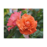 orange and pink rose postcard