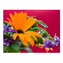 Orange And Purple Flower Theme Postcard