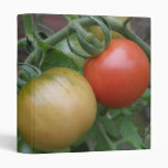Orange and Red Tomatoes Photograph Album 3 Ring Binders