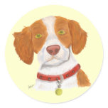 Orange and White Brittany Round Stickers
