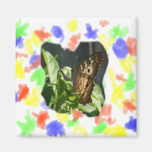 Orange and White Butterfly Photograph Refrigerator Magnet