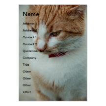 Orange and white cat business card templates
