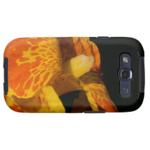 Orange and Yellow Canna Lily photo Samsung Galaxy