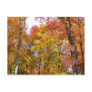 Orange and Yellow Fall Trees Postcard