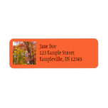 Orange and Yellow Trees Return Address Label