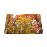 Orange and Yellow Trees Wrapped Canvas