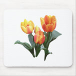 Orange and Yellow Tulips Mouse Pads