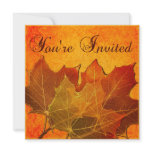 Orange Autumn Leaves Thanksgiving Announcements