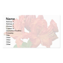 Orange Azalea Blossoms Business Card Templates
