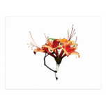 Orange Azaleas Postcard