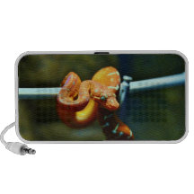 Orange Ball Python Laptop Speaker