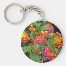 Orange beauties keychain