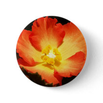Orange Begonia Button