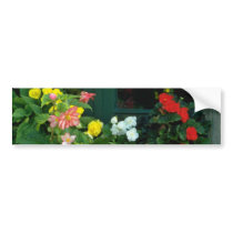 Orange Begonias flowers Bumper Sticker