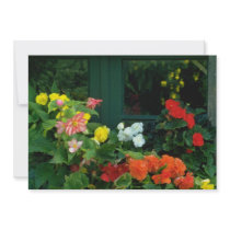 Orange Begonias flowers Invitations